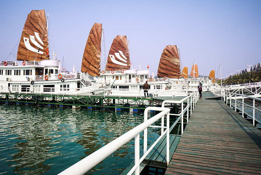 7 bước để chọn một tour đến Vịnh Hạ Long, ảnh từ Bhaya Cruises