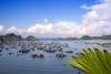 Thắng cảnh Hạ Long - Vườn Quốc gia Cát Bà, ảnh từ Bùi Hồng Thắng