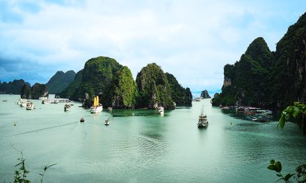 Halong Bay Guide