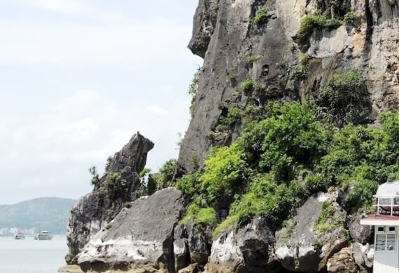 stone dog islet