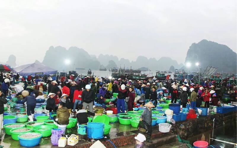 Seafood market - Hon Gai Market