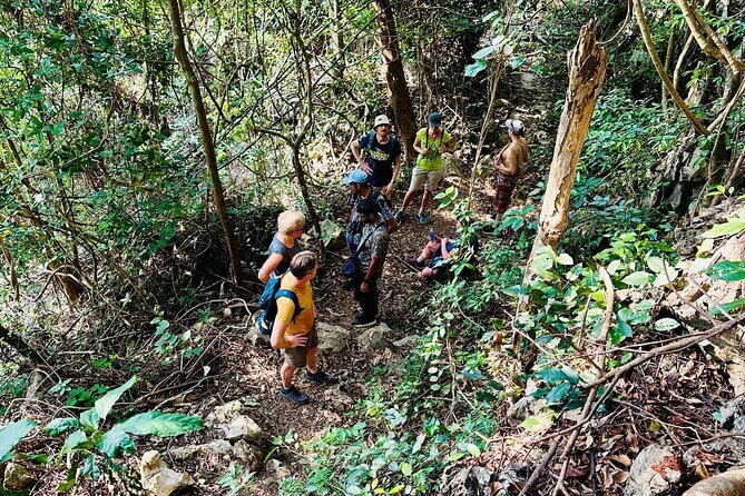 Wildlife Tours in Cat Ba