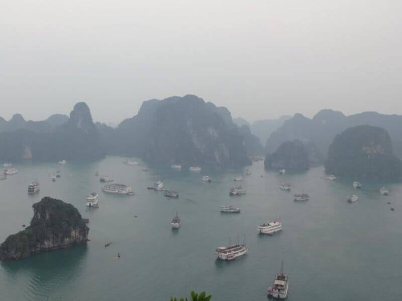 Altogether, in January, Halong Bay brings cool temperatures, low rainfall, and occasional fog, creating a mystical and serene atmosphere. Let’s dive into the details with Bhaya below:<br />
Average temperature<br />
Average temperature: 17°C (62.6°F)<br />
Highest: 20°C ̣(68°F)<br />
Lowest: 14°C (57.2°F)<br />
With such temperatures, January is indeed one of the coldest months in Halong Bay. The cool weather here makes it ideal for sightseeing and cruising, offering a pleasant and refreshing experience, though it may not be the best time for swimming due to the lower water temperatures.<br />
Humidity levels<br />
Average humidity: 85%<br />
The air in January is cool and slightly humid, but much more comfortable compared to the hot and sticky summer months. Be aware that mornings and evenings can feel colder due to the combination of cool air and high humidity, which may make the temperature feel lower than it actually is, especially when out on the bay.<br />
Rainfall<br />
Average rainfall: 38.9 mm<br />
Rainy days: 7.5 days<br />
January falls within the dry season in Halong Bay. Most days are clear and dry, light drizzles or occasional mist may occur, but heavy downpours are rare and unlikely to significantly impact travel plans.<br />
Wind and fog conditions<br />
Wind speed: 3.18 km/h<br />
Foggy mornings and evenings are common which bring a mystical ambiance, but sometimes affect your sightseeing. Oftentimes, some cruise departures might be delayed due to thick fog, especially in the early morning.<br />
