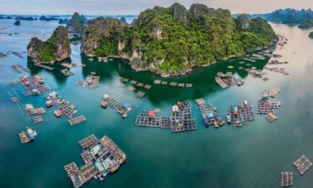 How Long To Spend On Halong Bay?
