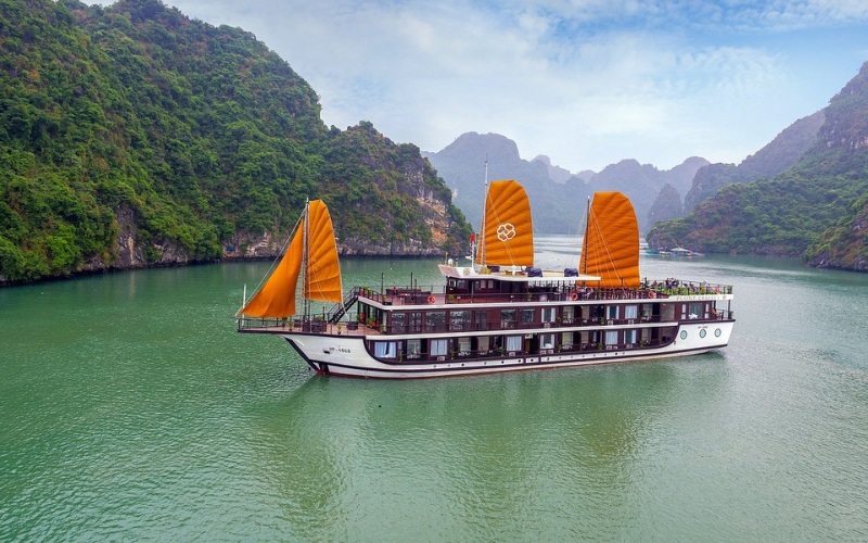 Peony Cruise – Comfort and Value for Families