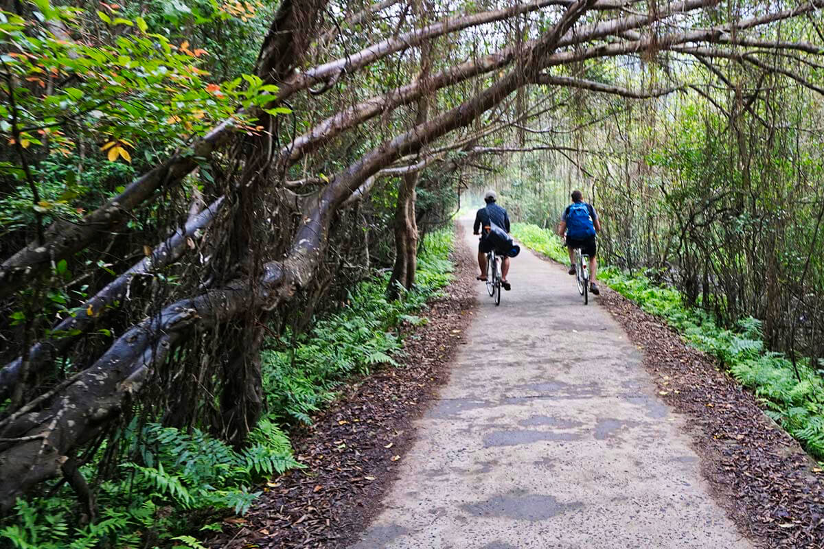 biking in cat ba national park biking in cat ba national park
