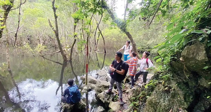 trek through ao each or frog pond trek through ao each or frog pond